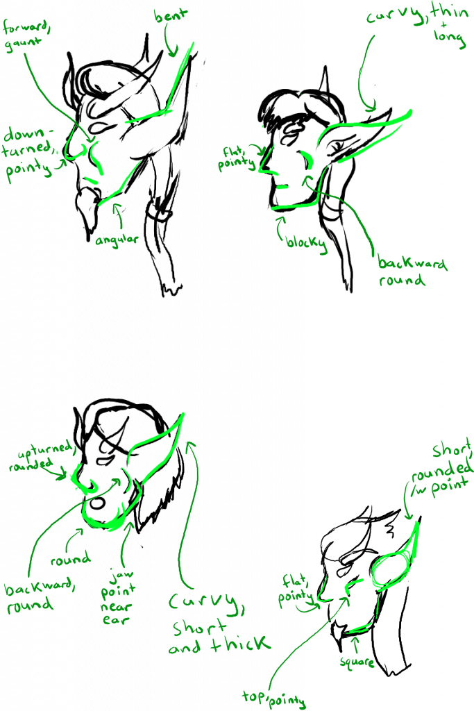 Side view of Keelath, Evelos, Mirium, and Tyrdan's faces, with green markup to show their different facial structures.