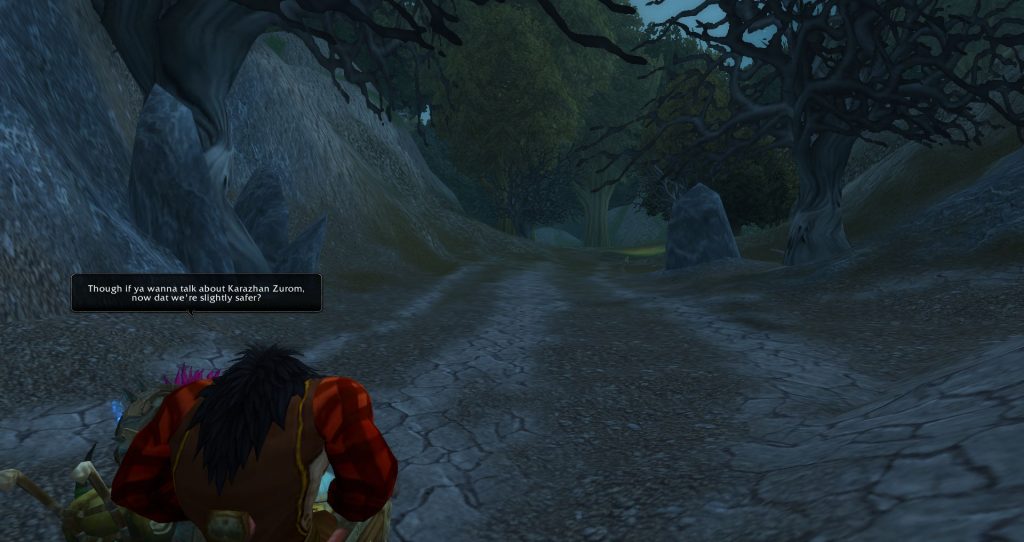 Da Doctas Tour pause at the border between Deadwind Pass and Duskwood