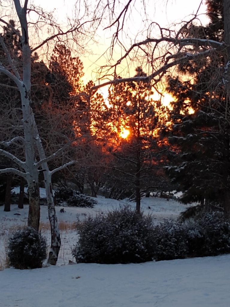 photo of a sunrise over aspens and snow in Colorado, USA