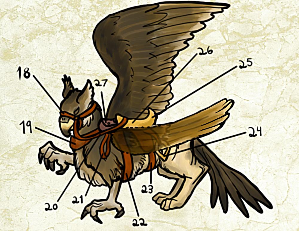 diagram of gryphon tack